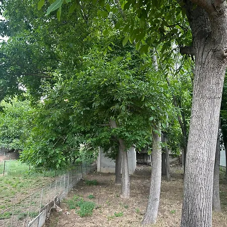 別荘 Stymfalia Cozy Village *